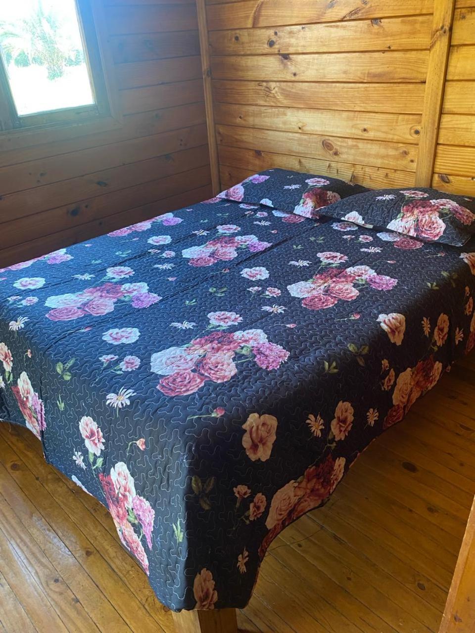 Cabanas Mantaguita Ritoque Exteriör bild